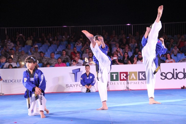 Martial Arts Festival
